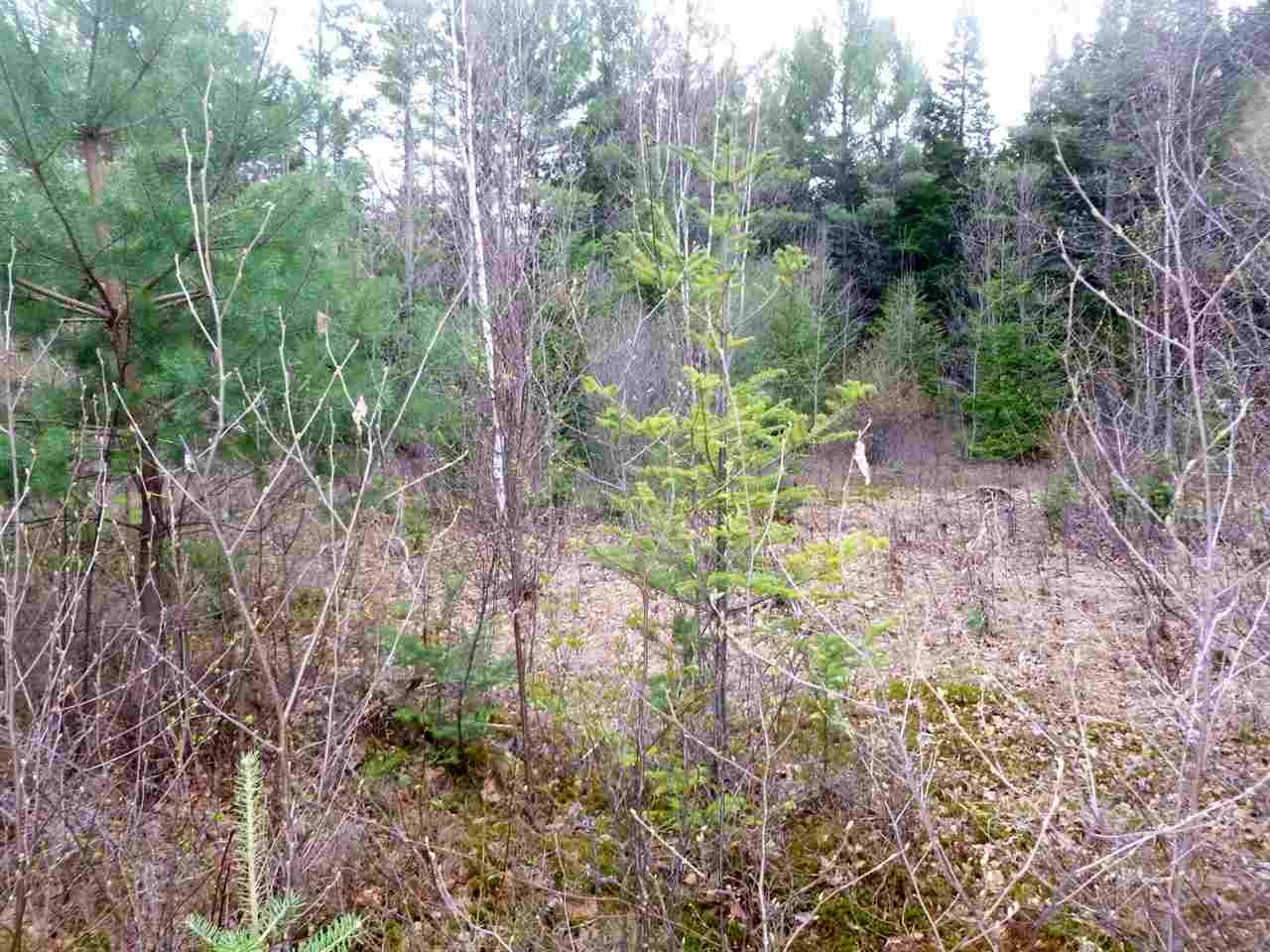 0 Black Bear Road, Carroll, NH 03595