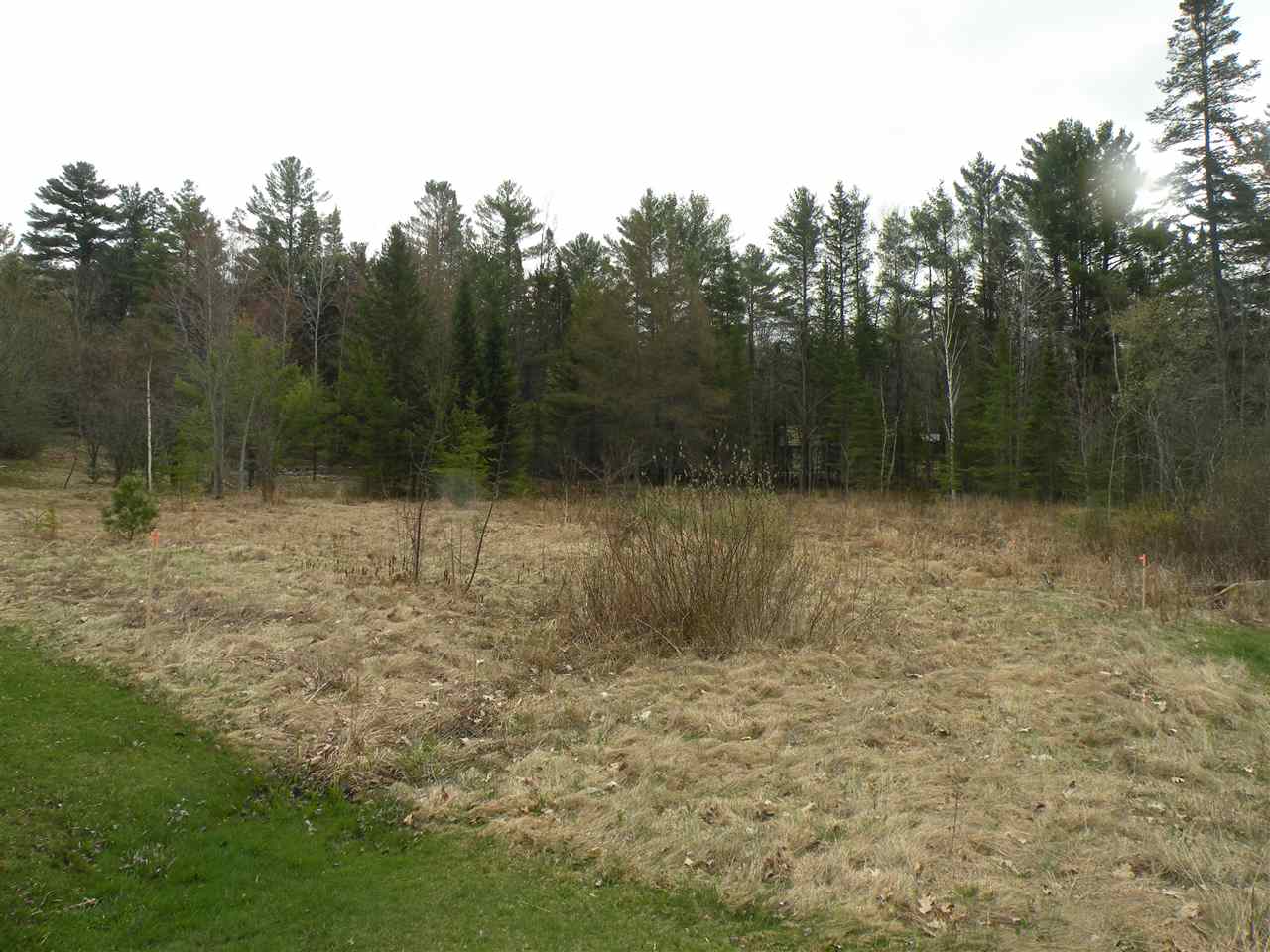 Off Spring Street, Whitefield, NH 03598