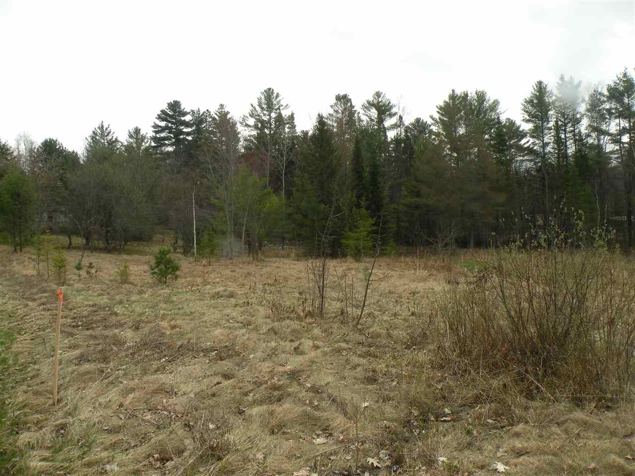 Off Spring Street, Whitefield, NH 03598