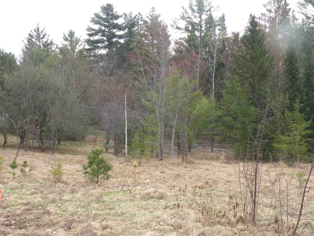 Off Spring Street, Whitefield, NH 03598