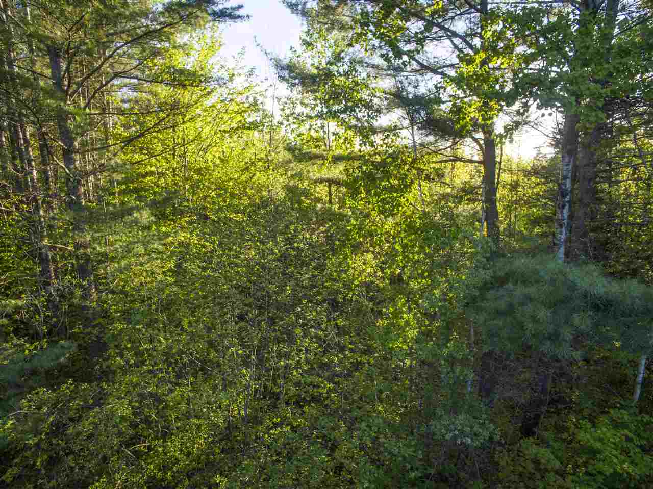 00 Crane Road, Whitefield, NH 03598