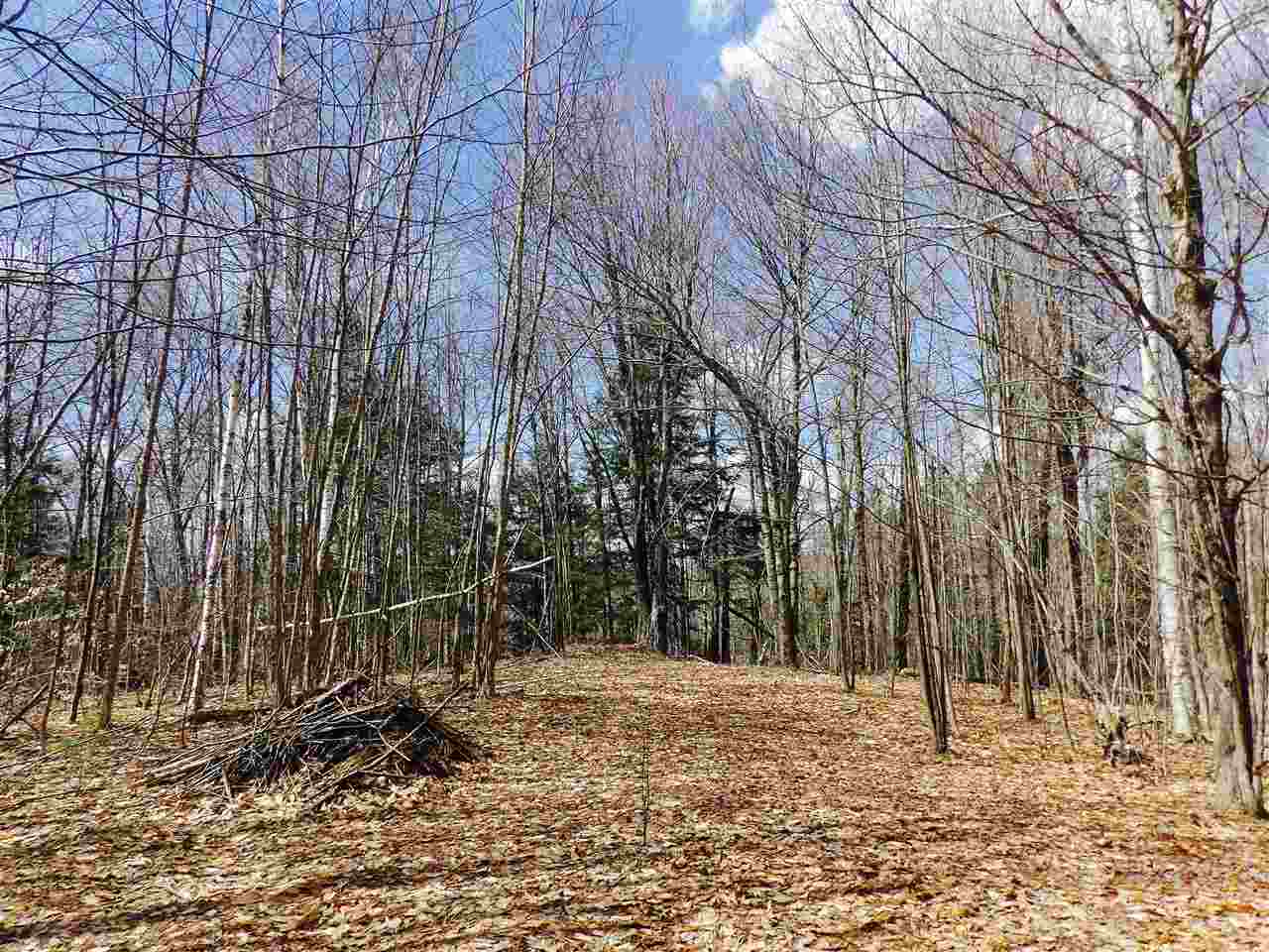 lot 2 Charlestown Road, Acworth, NH 03601