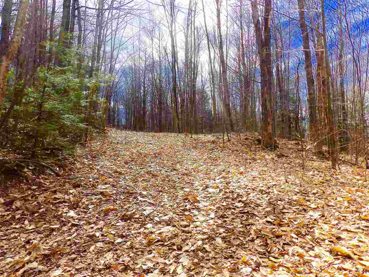 lot 2 Charlestown Road, Acworth, NH 03601
