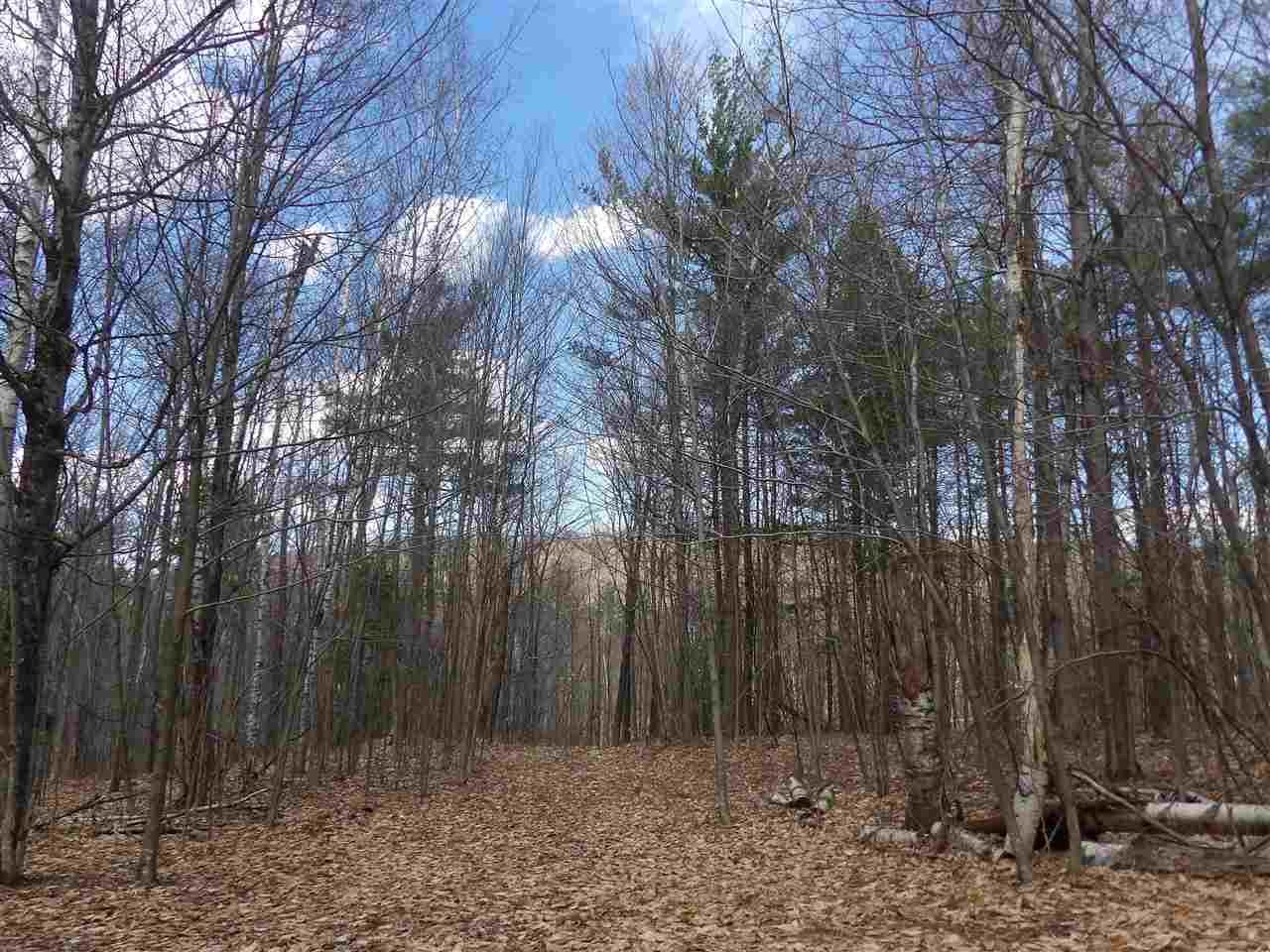 lot 2 Charlestown Road, Acworth, NH 03601