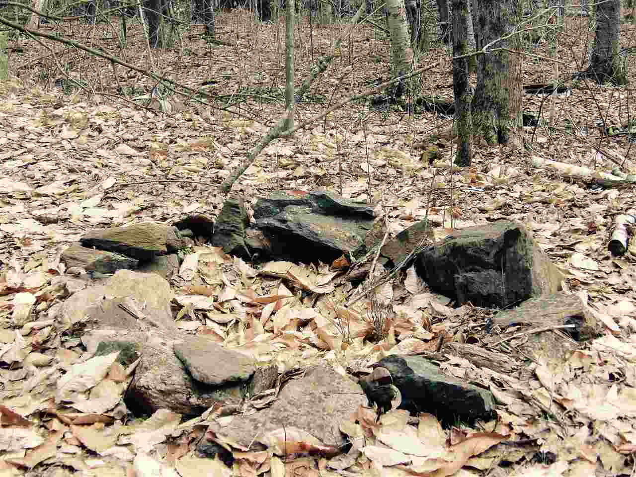 lot 2 Charlestown Road, Acworth, NH 03601