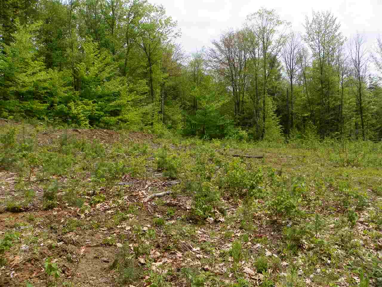 44 Corbin Road, Alstead, NH 03602