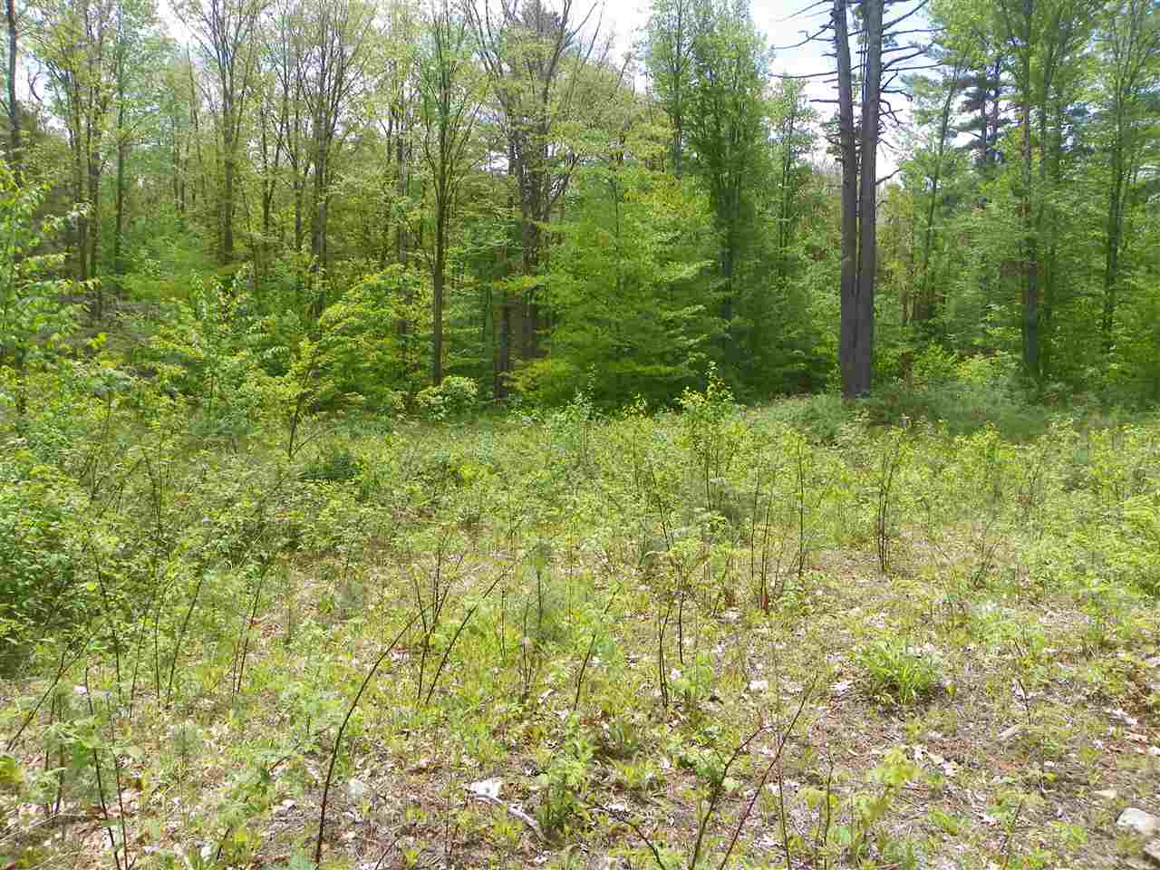 44 Corbin Road, Alstead, NH 03602