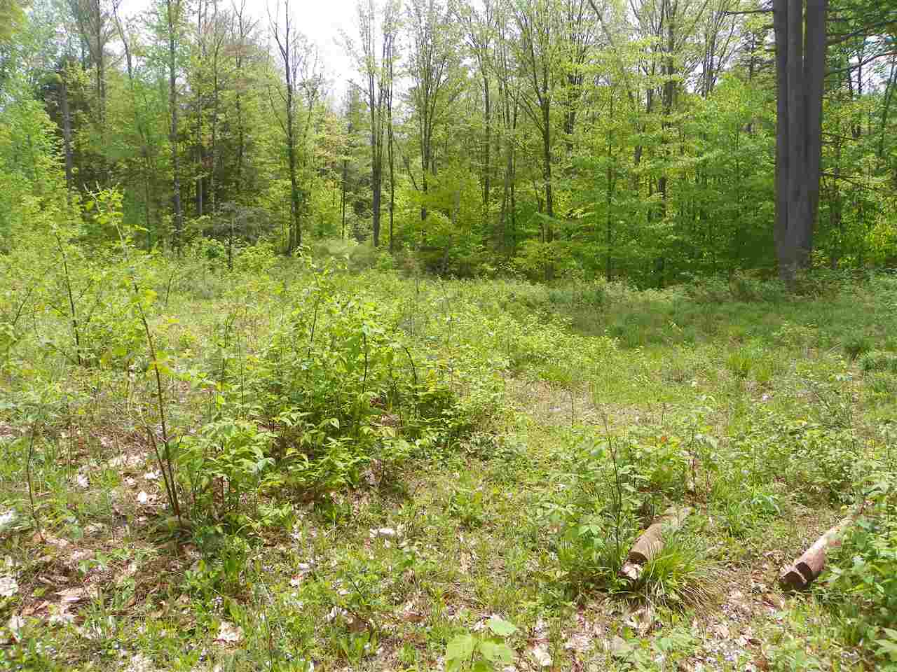 44 Corbin Road, Alstead, NH 03602