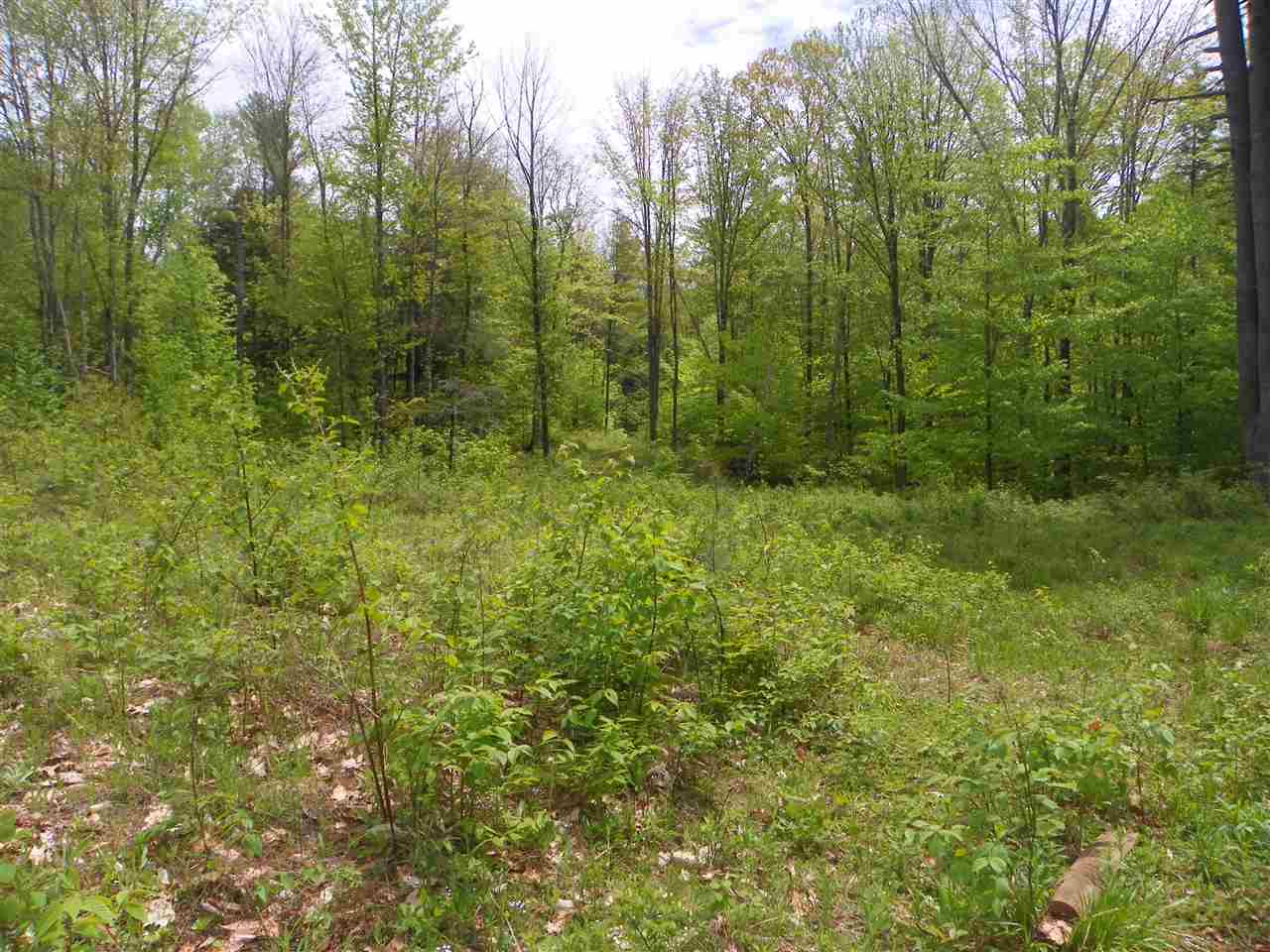44 Corbin Road, Alstead, NH 03602