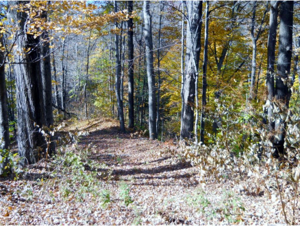 0 Sullivan St., Charlestown, NH 03603