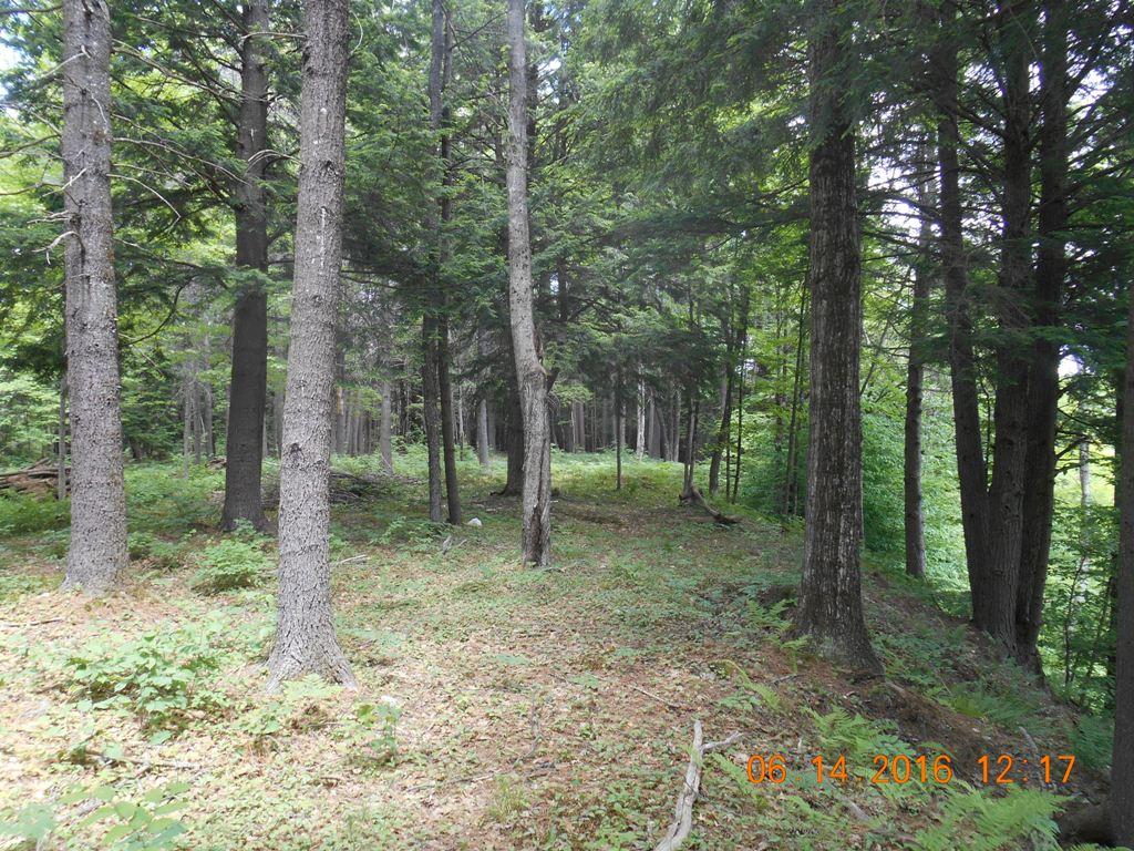0 Stage Rd., Unity, NH 03603