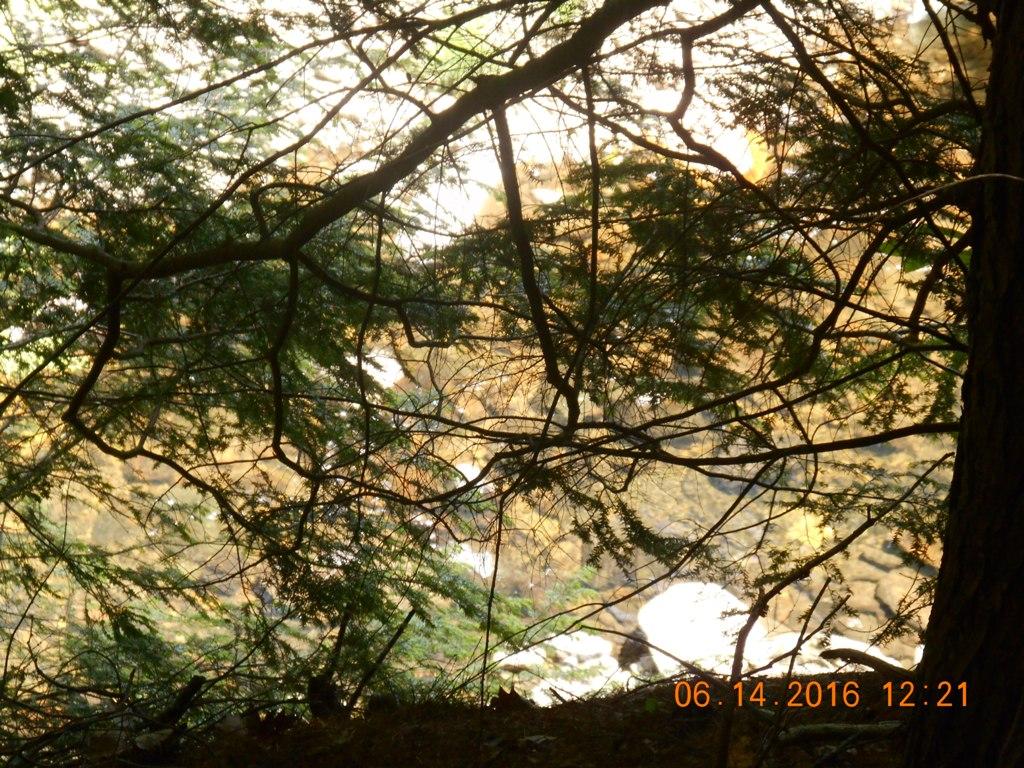 0 Stage Rd., Unity, NH 03603