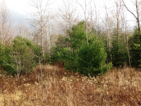 0 French Pond Road, Bath, NH 03740