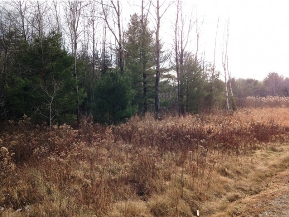 0 French Pond Road, Bath, NH 03740