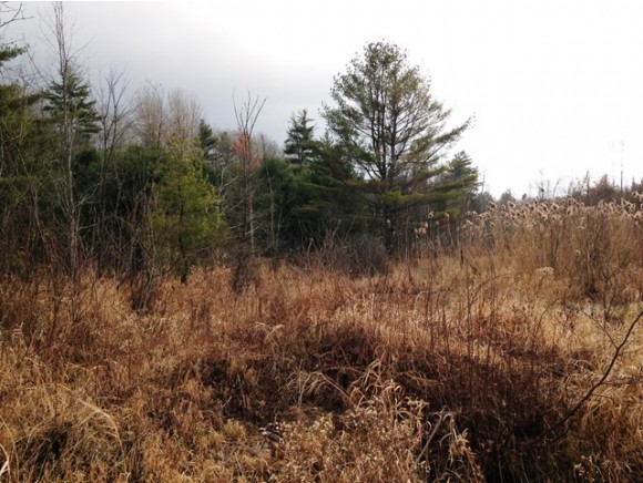 0 French Pond Road, Bath, NH 03740