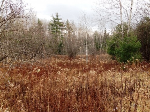 0 French Pond Road, Bath, NH 03740