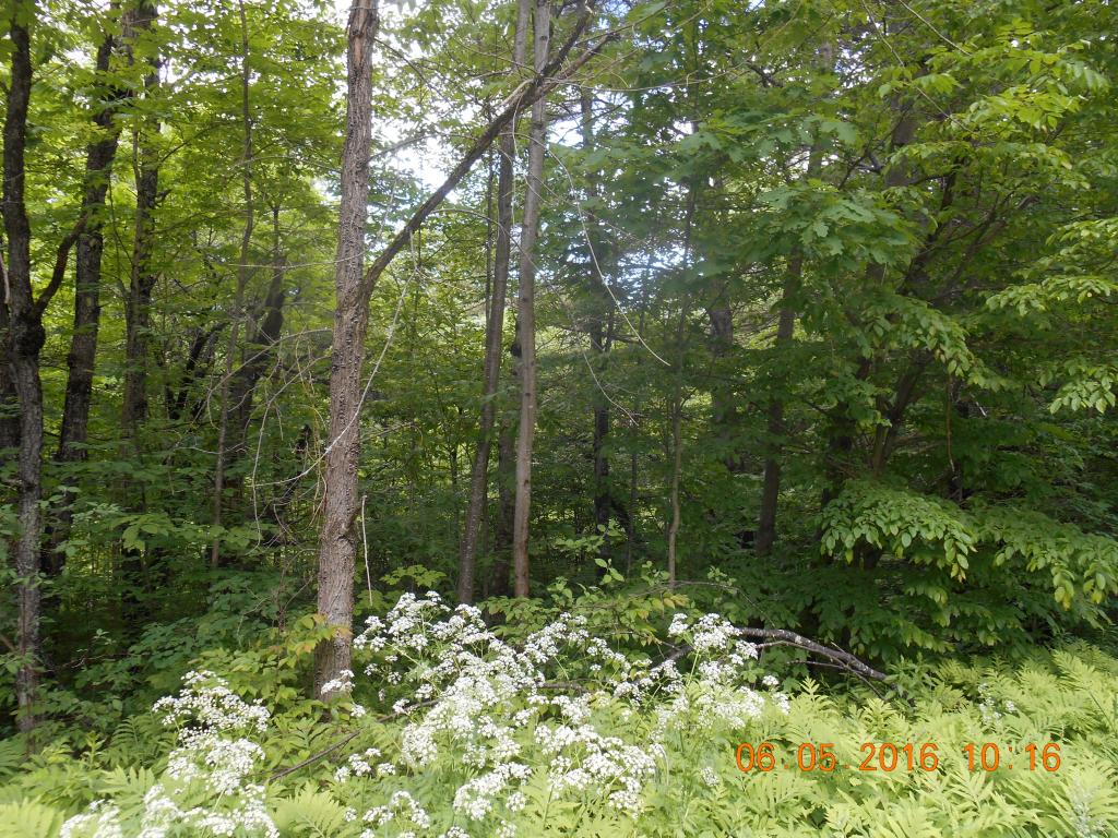 0 West Unity Rd., Unity, NH 03743