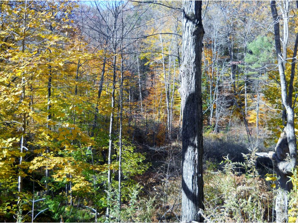 0 LEAVITT HILL RD., Cornish, NH 03745
