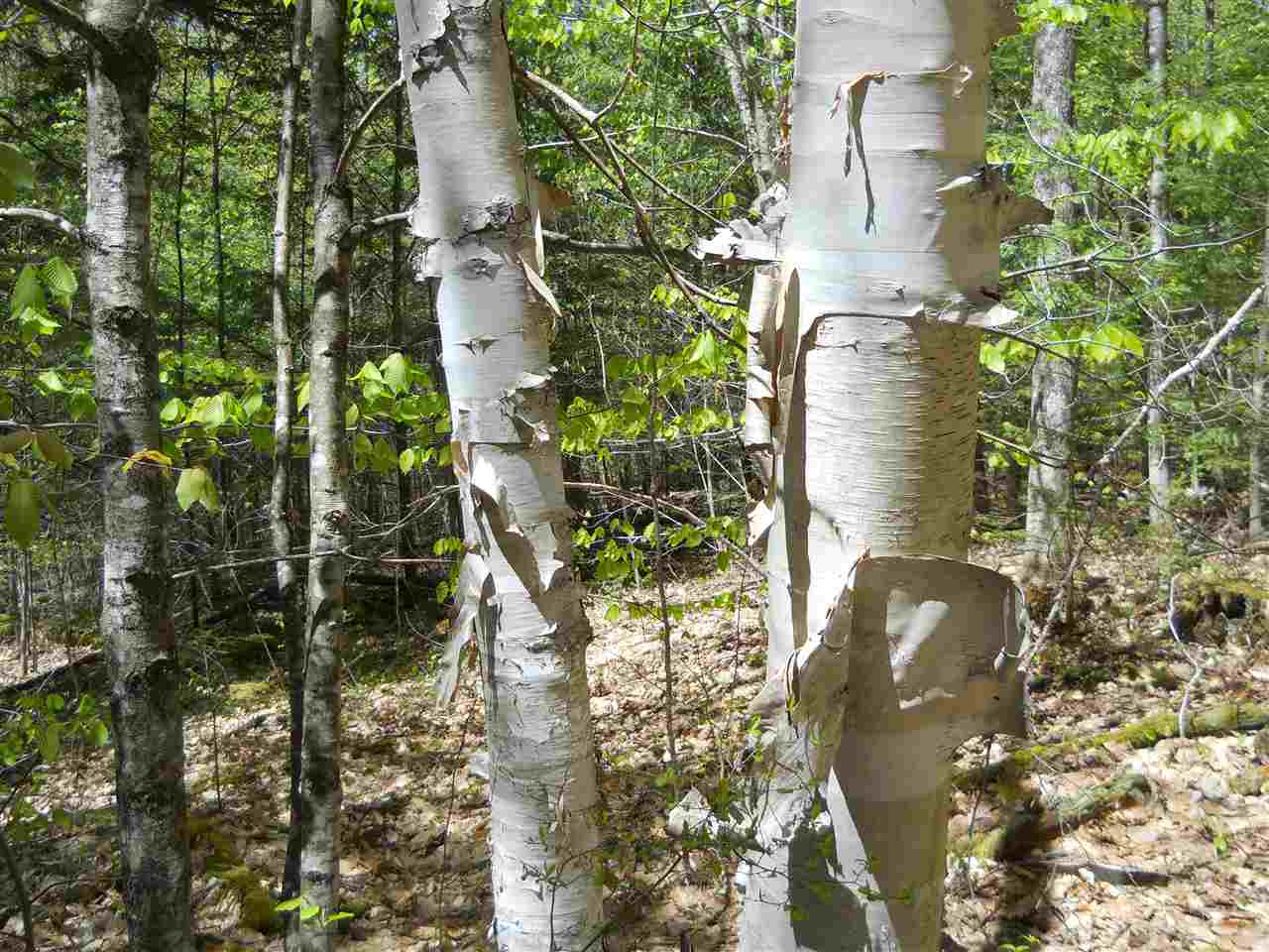 00 West Pass Road, Cornish, NH 03745