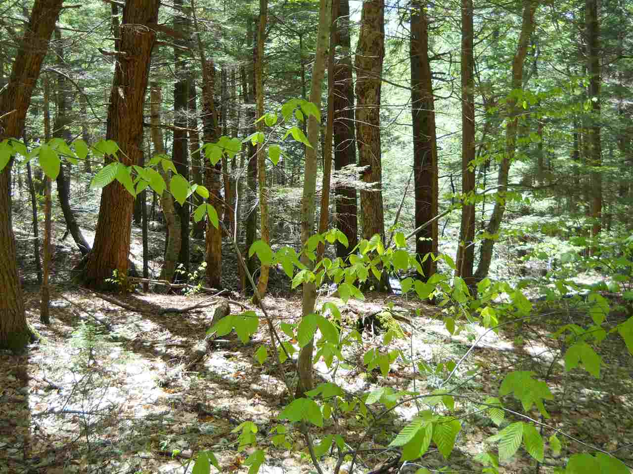 00 West Pass Road, Cornish, NH 03745