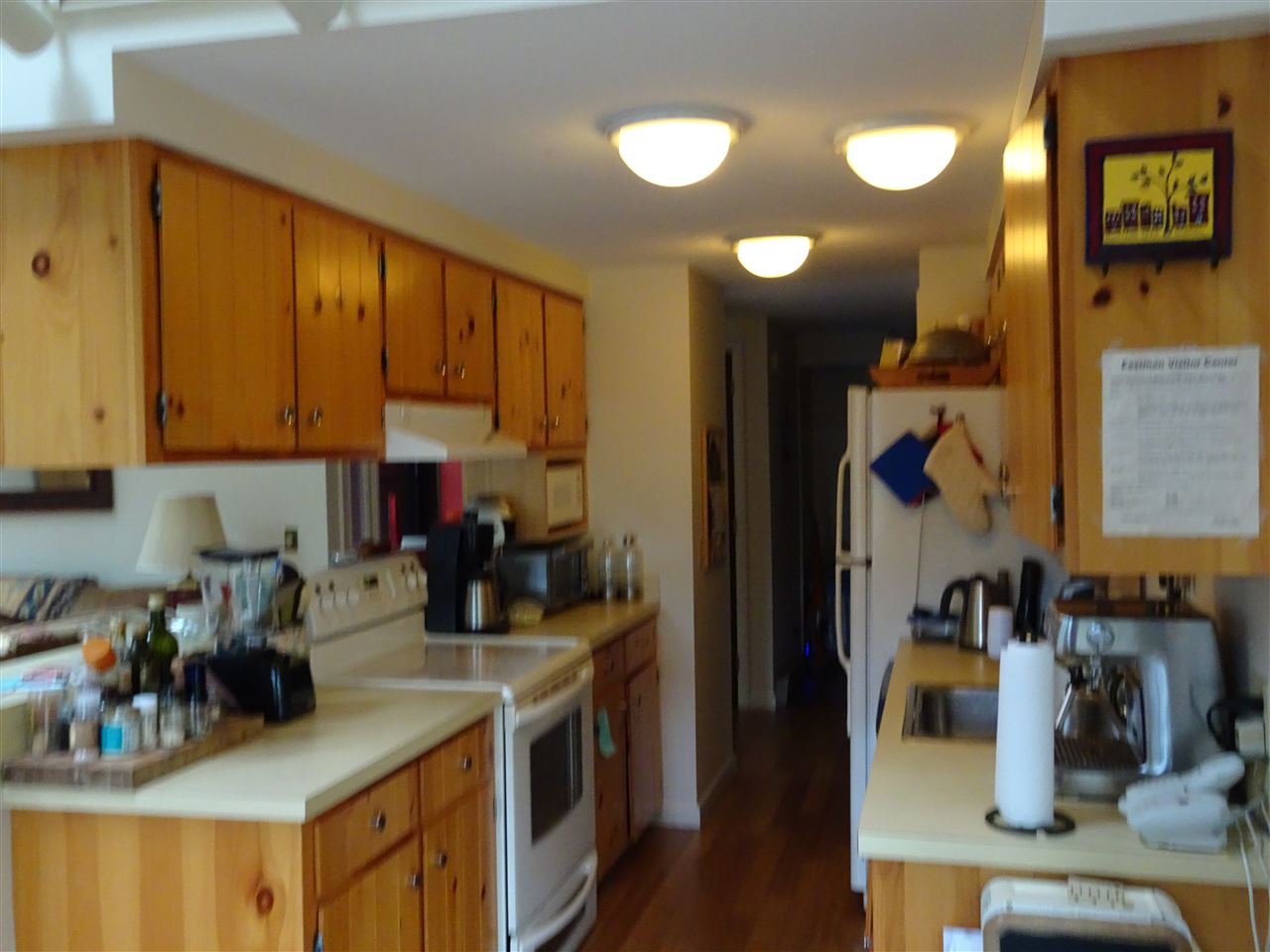 9 Bay Tree, Grantham, NH 03753