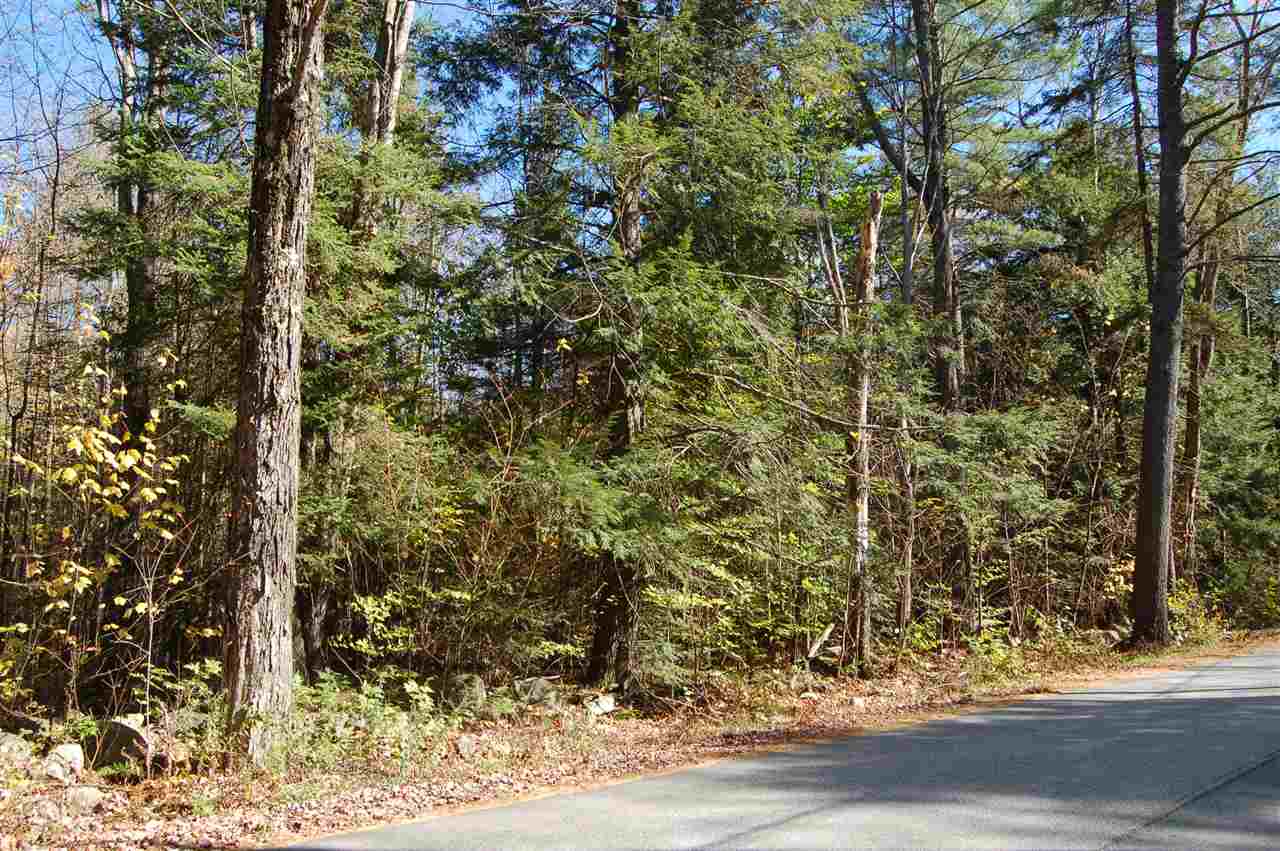 Dunbar Hill Road, Grantham, NH 03753