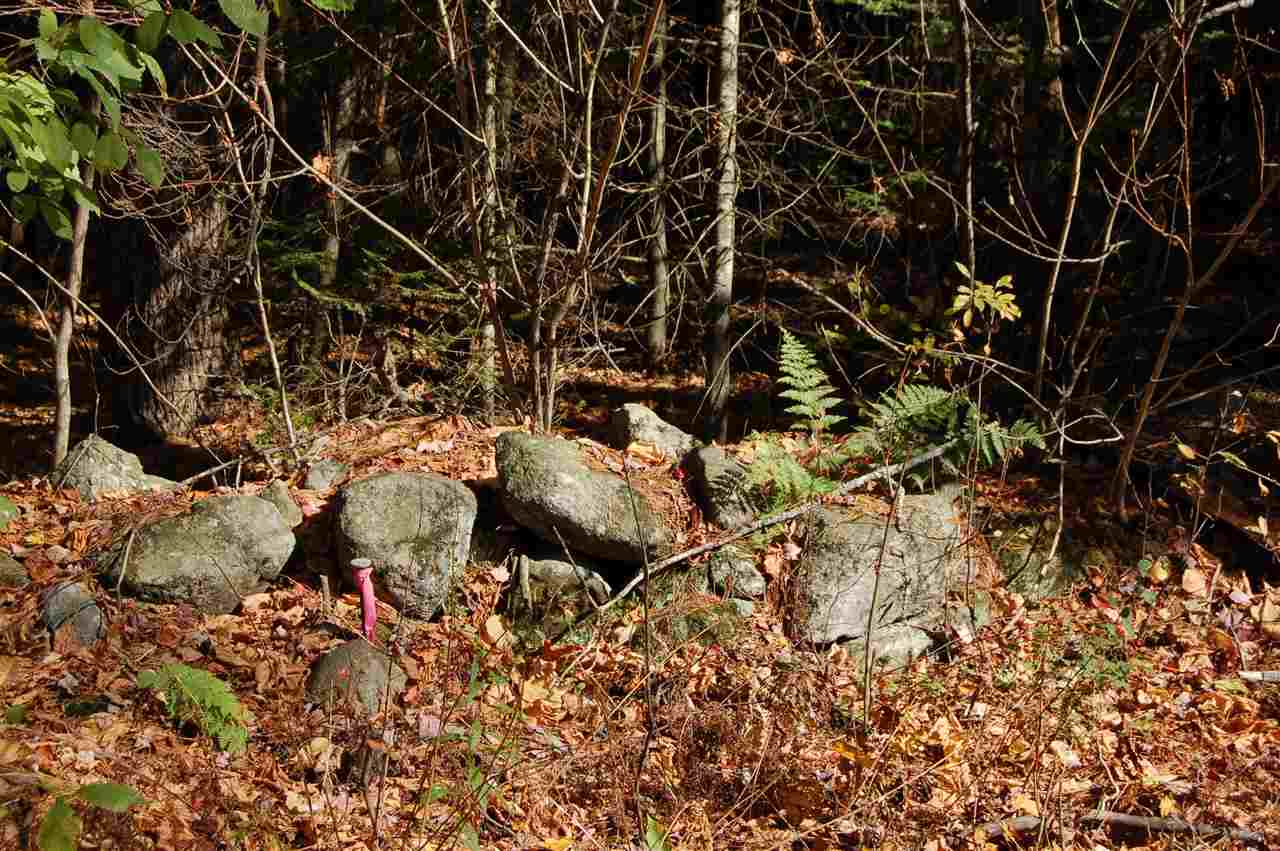 - Dunbar Hill Road, Grantham, NH 03753