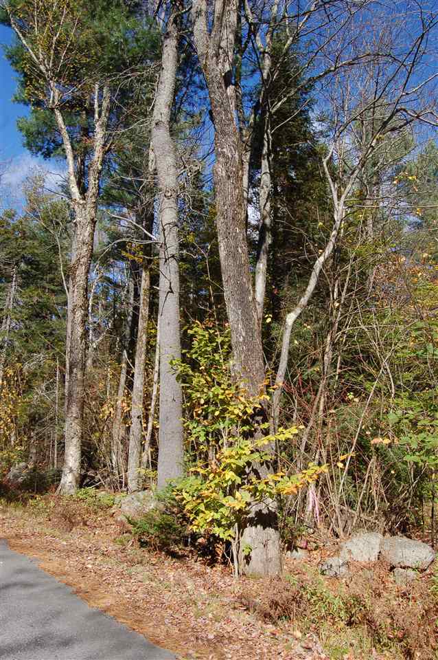 Dunbar Hill Road, Grantham, NH 03753