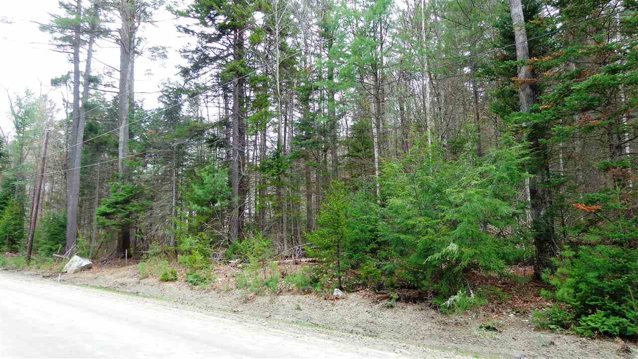 New Aldrich Road, Grantham, NH 03753