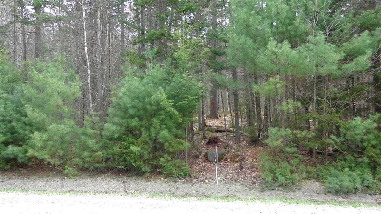 New Aldrich Road, Grantham, NH 03753