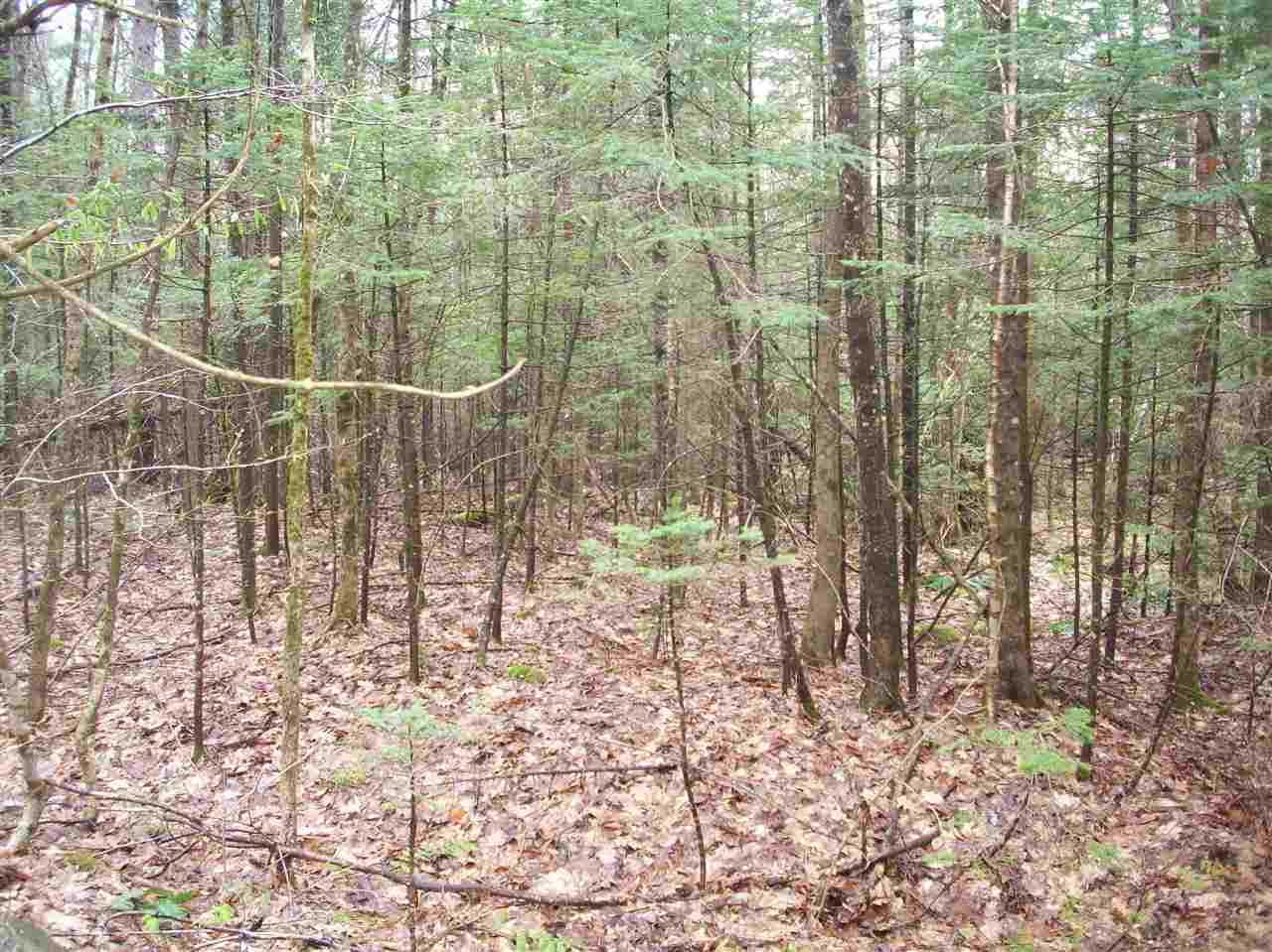 Lot 2 Sinclair Road, Haverhill, NH 03765