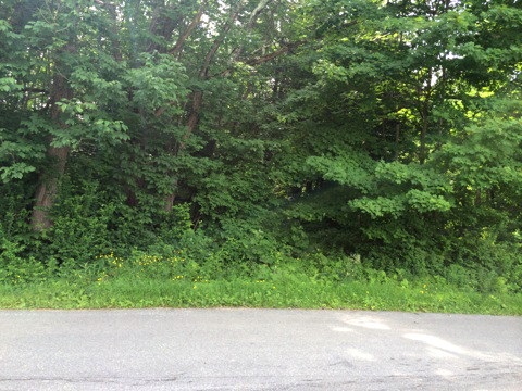 On Coppermine Road, Monroe, NH 03771