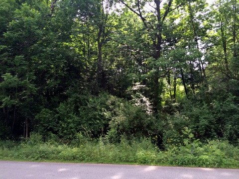 On Coppermine Road, Monroe, NH 03771