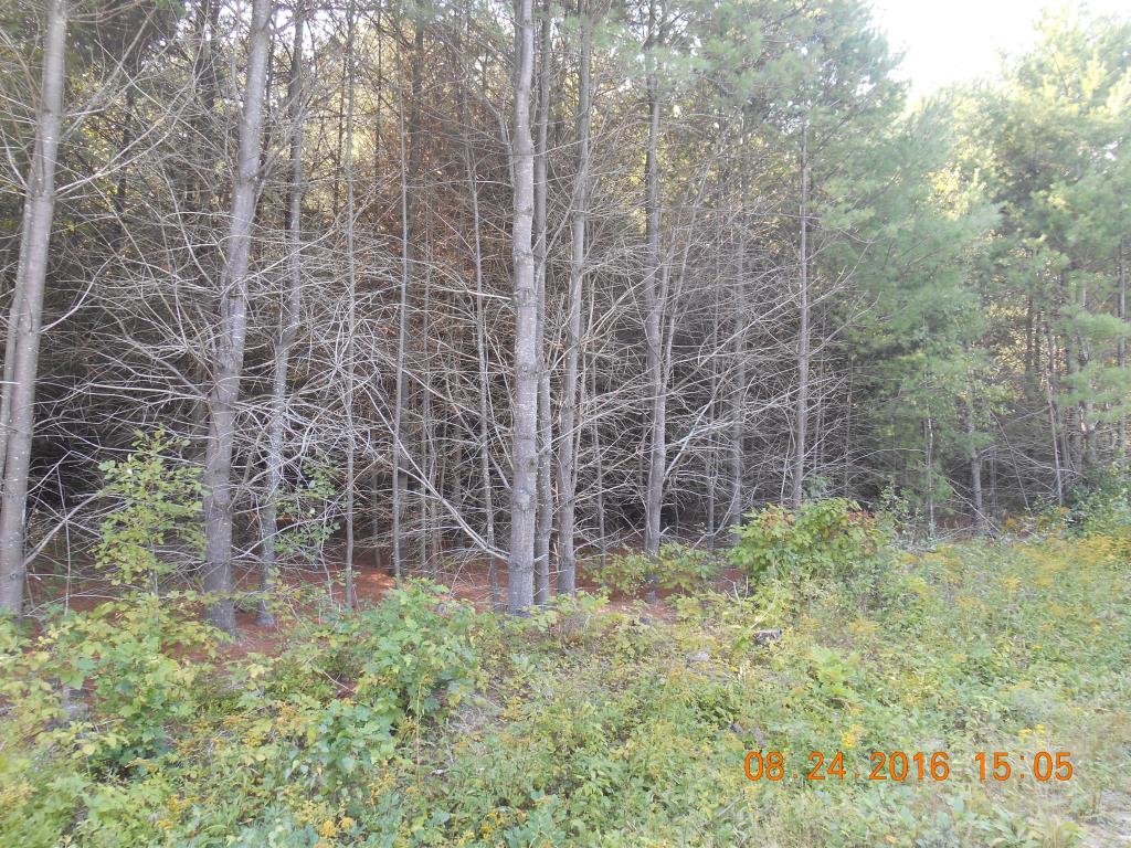 Huntoon Brick Farm Road, Unity, NH 03773