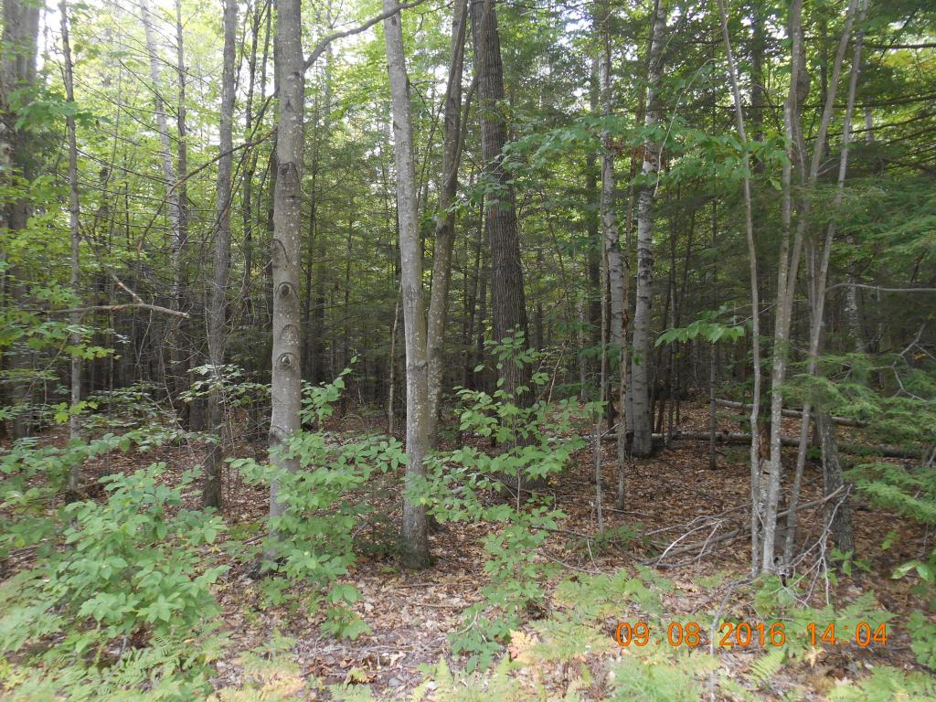 0 Barton Whitney Rd., Newport, NH 03773