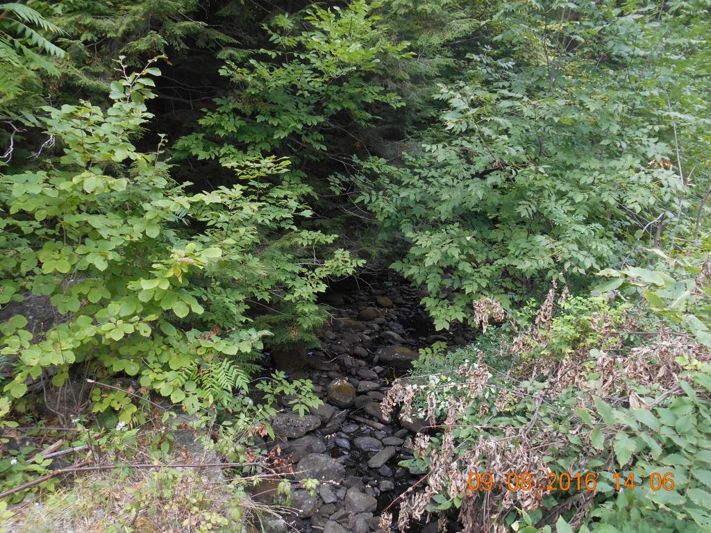0 Barton Whitney Rd., Newport, NH 03773