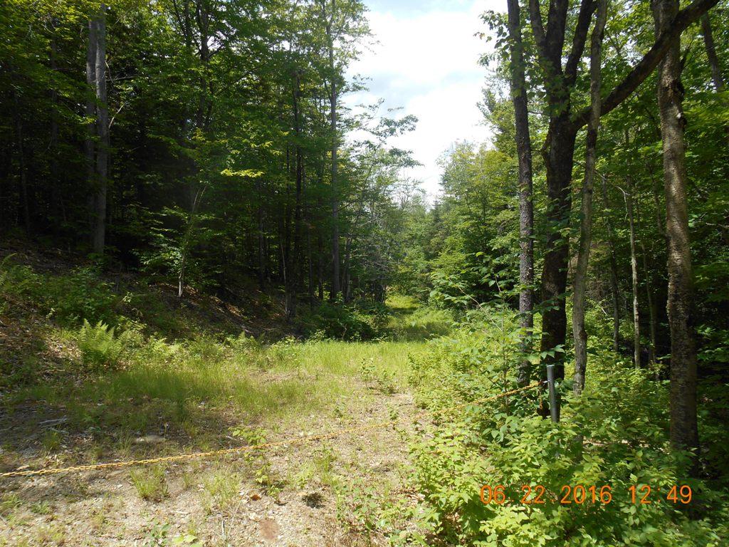 0 Cold Pond Rd., Unity, NH 03773