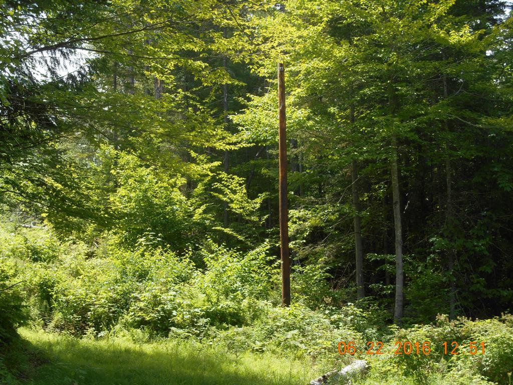 0 Cold Pond Rd., Unity, NH 03773