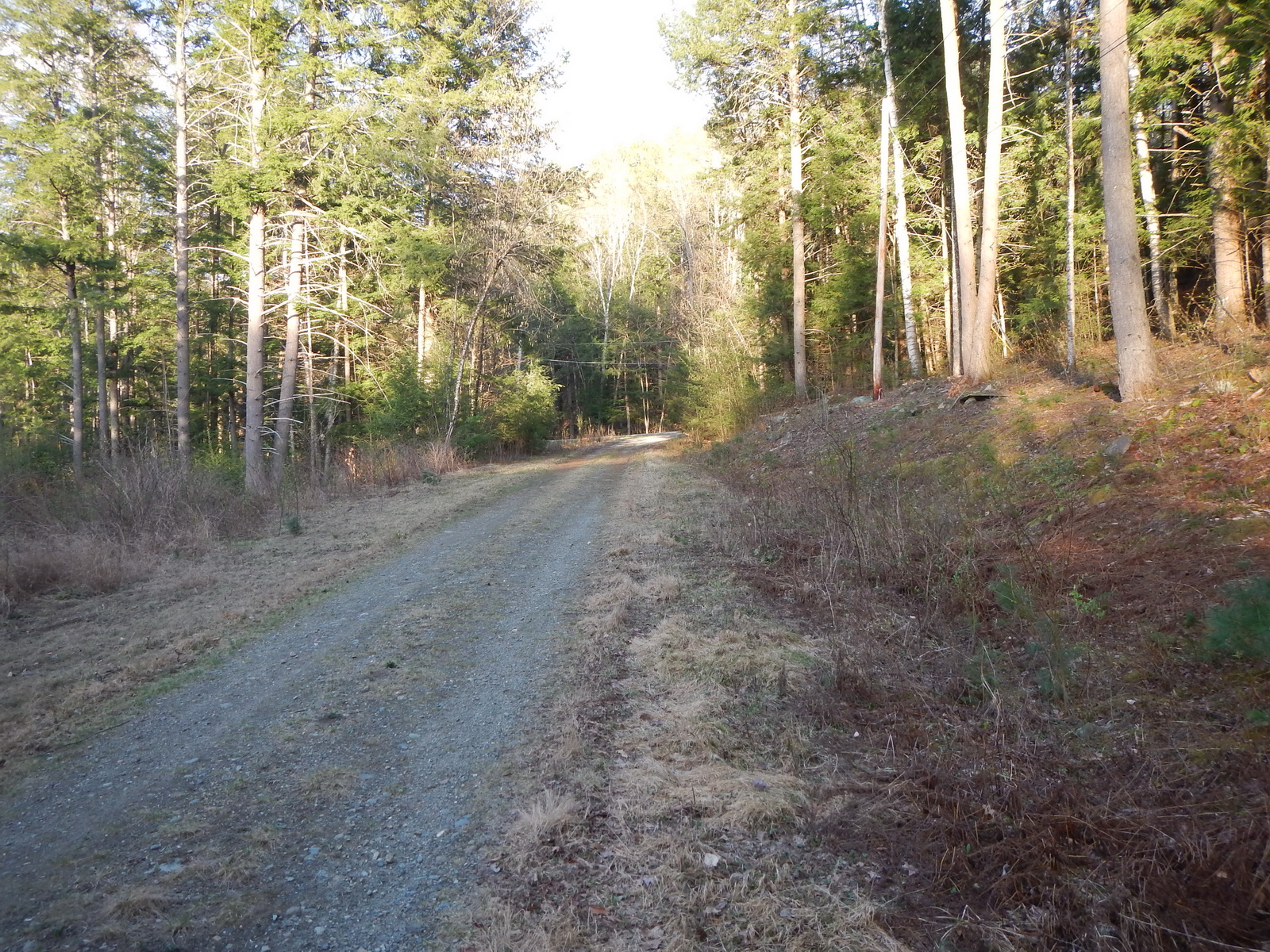 Lot 86Simonds Road, Haverhill, NH 03774
