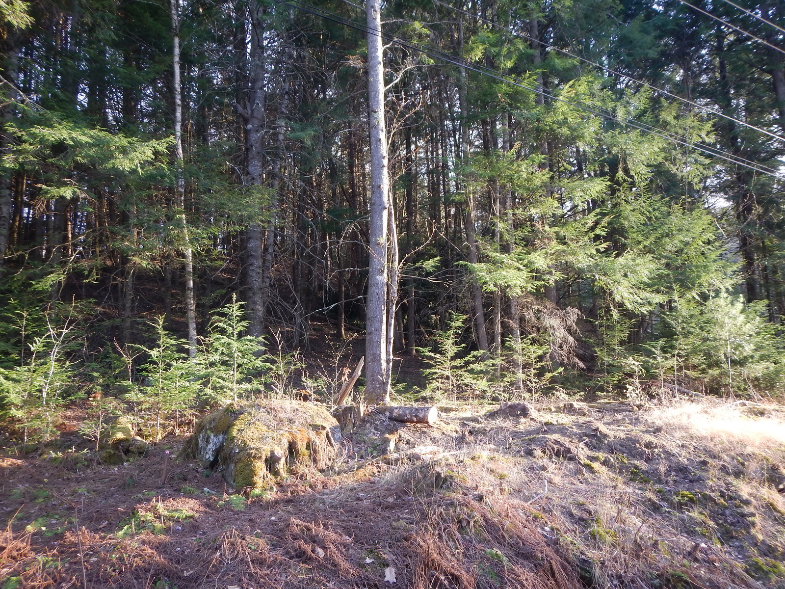 Lot 86Simonds Road, Haverhill, NH 03774