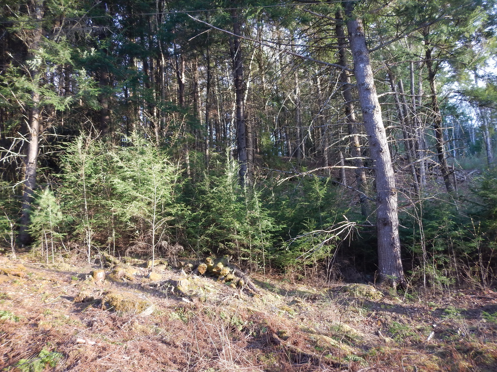 Lot 86Simonds Road, Haverhill, NH 03774