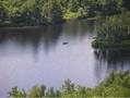 0 Marsha Drive, Alton, NH 03809