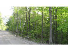 Lot #34 Larry Drive, Alton, NH 03809
