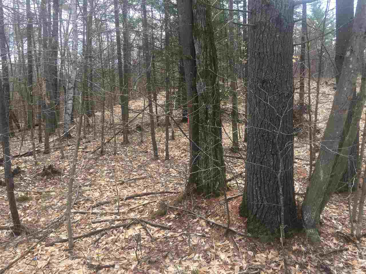 Stockbridge Corner Road, Alton, NH 03809