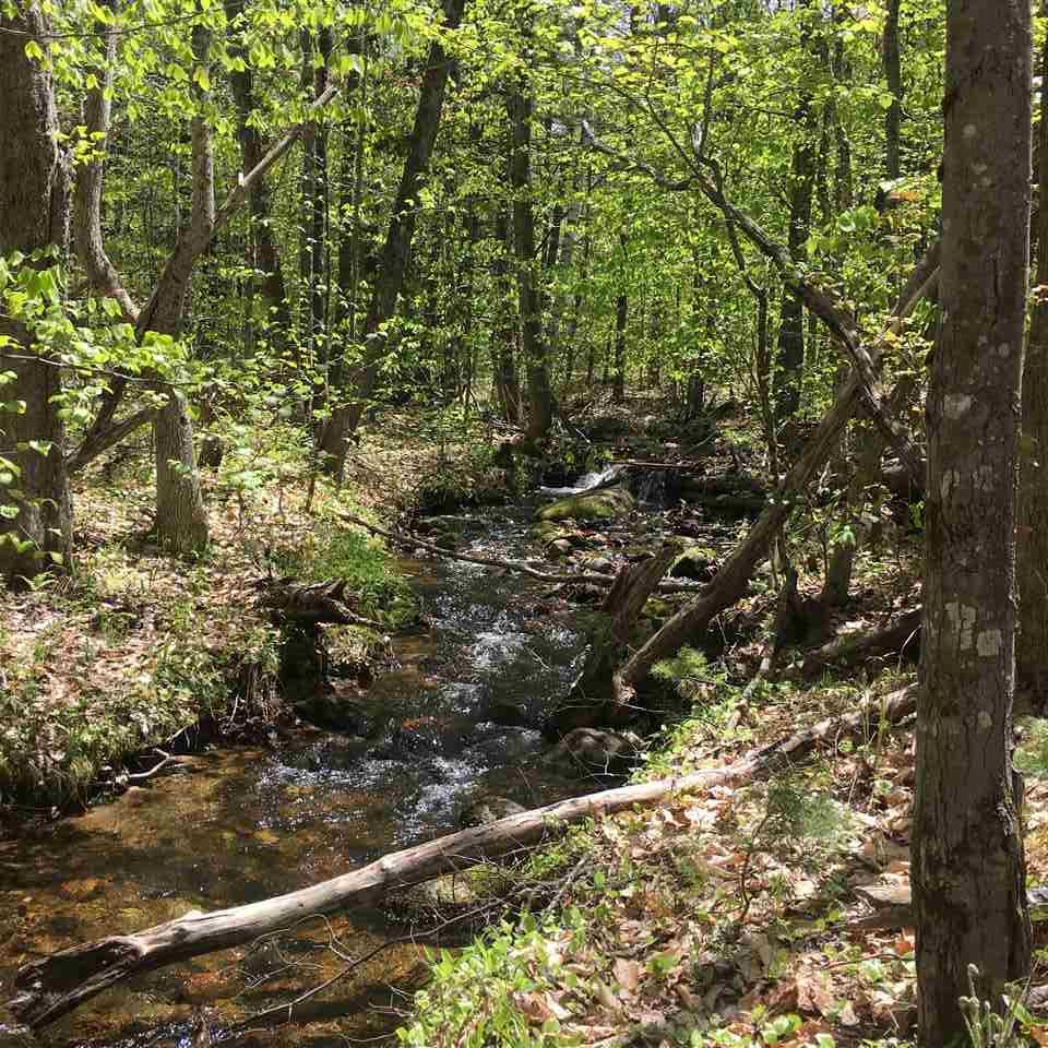 Stockbridge Corner Road, Alton, NH 03809