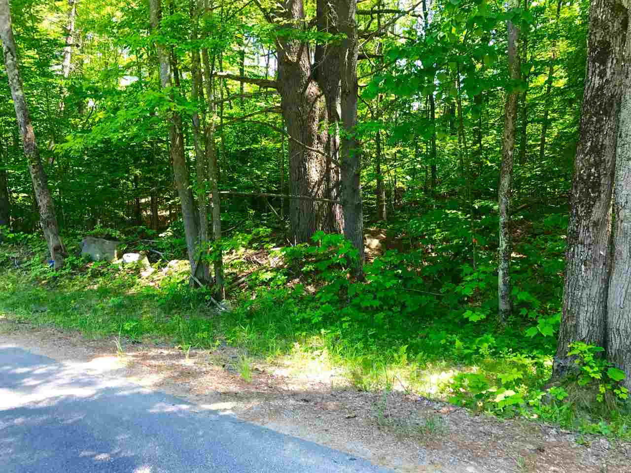 6-42 Lot 1 Stockbridge Corner Road, Alton, NH 03809