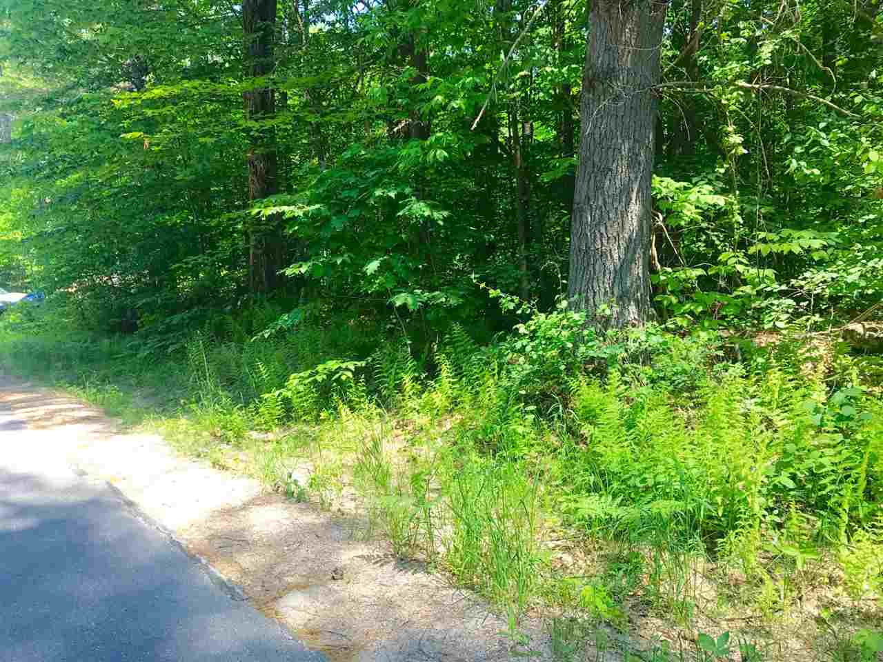6-42 Lot 1 Stockbridge Corner Road, Alton, NH 03809