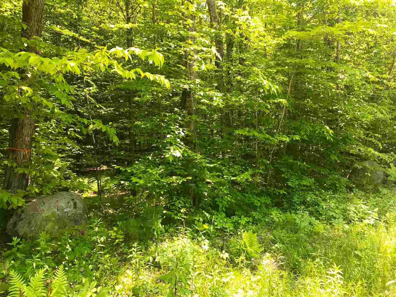 6-42 Lot 2 Stockbridge Corner Road, Alton, NH 03809