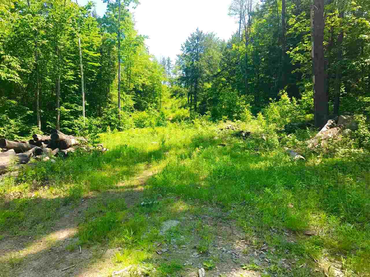 6-42 Lot 2 Stockbridge Corner Road, Alton, NH 03809