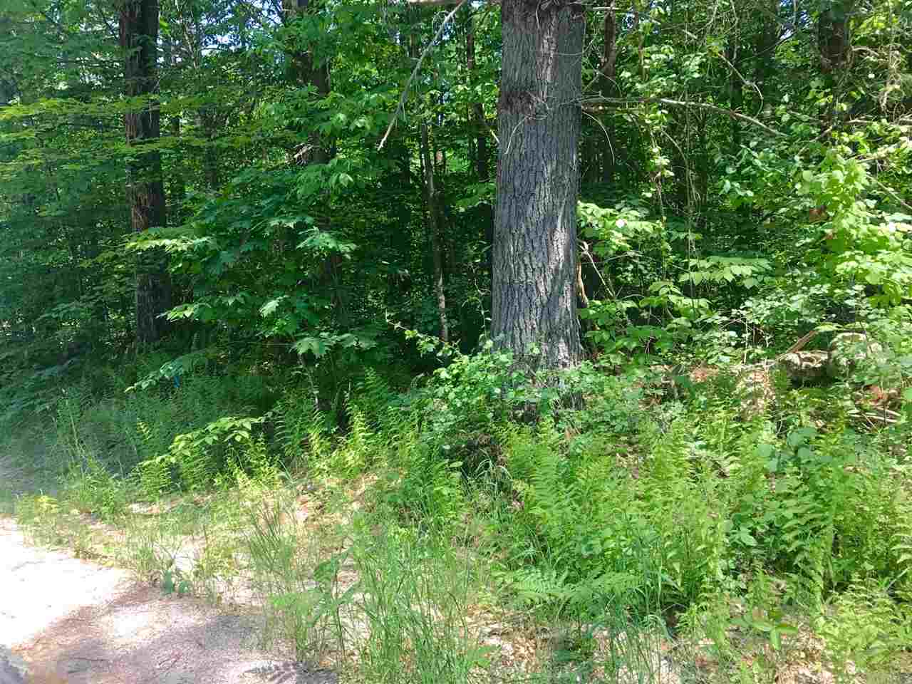 6-42 Lot 2 Stockbridge Corner Road, Alton, NH 03809
